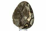 Septarian Dragon Egg Geode - Sparkly Black Crystals #308825-2